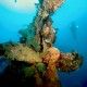 Japanese wreck