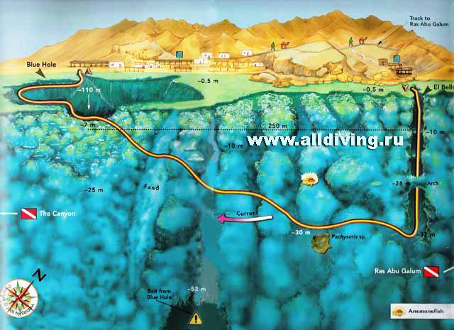 Merülőhely térképe