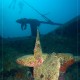 El Mina wreck