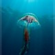 Medúza