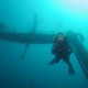 Peltastis Wreck / Silói Roncs