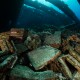Abu Nuhas, Chrisoula K Wreck