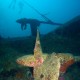 El Mina Wreck