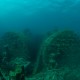 Scalaria Wreck