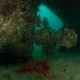 Palina wreck