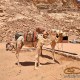 Wadi-rum
