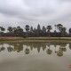 Angkor Wat