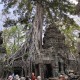 Angkor Wat "Tomb Raider" templom