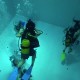 Nemo 33