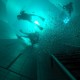 Nemo 33