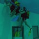 Nemo 33