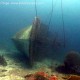 Similand Island no 5, Tuna wreck