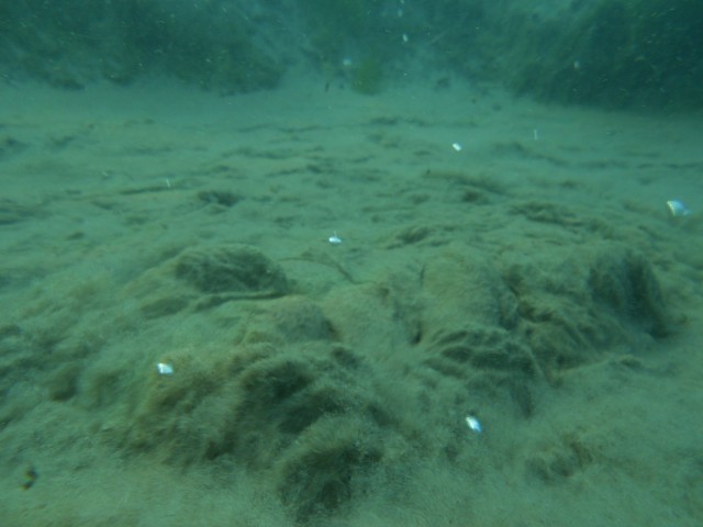 Merülőhely térképe