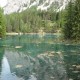 Grüner See