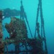 Maldivian Victory Wreck