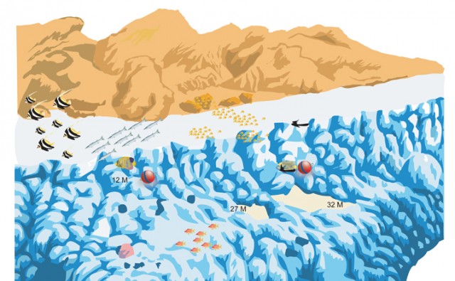 Merülőhely térképe