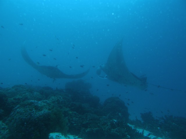Merülőhely térképe