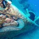 Teti Wreck