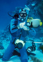 Kenéz György portfóliója