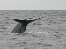 From Flickr by Seabass London