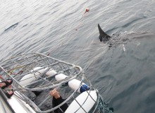 From Flickr by Le Grand Portage