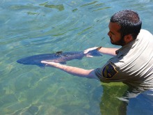 From Flickr By CaliforniaDFG