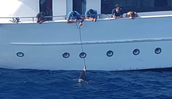 Foto: Oliver Ohlendorf