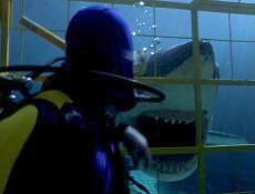 Shark Attack I