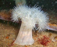 From Flickr by Tim Sheerman-Chase