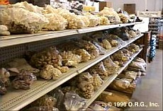 (C) www.oceanicresearch.org