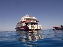 egyiptom búvár szafari