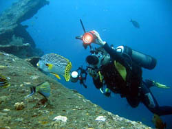 (C) Bobály Mihály www.scubadiving.hu