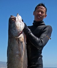 From Flickr by king damus