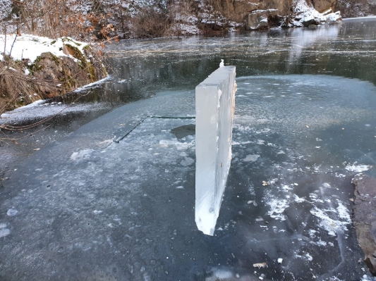 Foto: Barracuda Egyesület