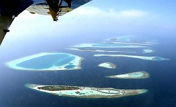 From Flickr by Neville Wootton Photography