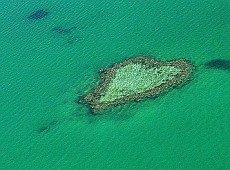 From Flickr by krossbow