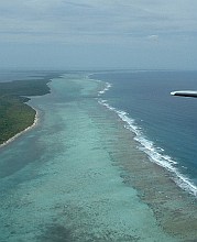 From Flickr by Hickatee