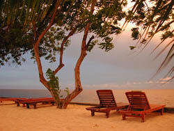 (C) Bobály Mihály www.scubadiving.hu