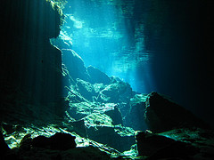 From Flickr by tslane888