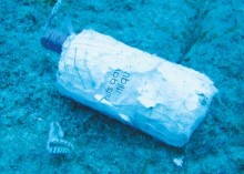 (C) Veronica Busuttil