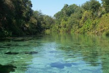 (C) systemslibrarian