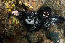 PSAI Sidemount