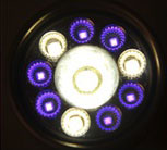 Spark Action Light UV