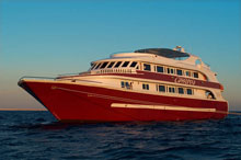 Cassiopeia RedSeaBoats