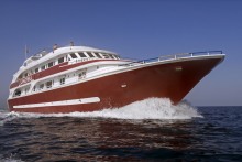 Cassiopeia Safari Red Sea