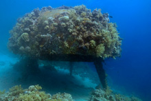 Cousteau Precontinent  - Sudan [Selmeczi Dániel]