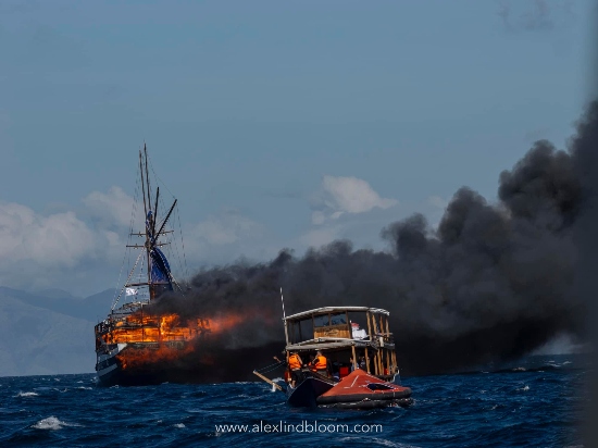 foto: Alex Lindbloom Film and Photography