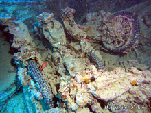 Thistlegorm motorok