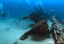 U-701 (C) Steve Sellers/NOAA