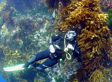 Gőgh Szilvia PADI Course Director